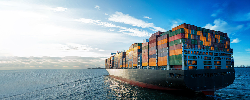 Local & International Shipping
